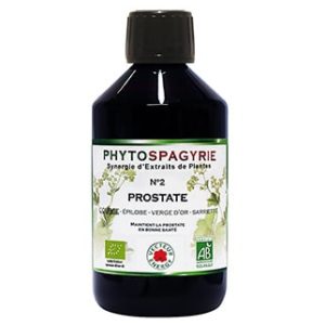 PHOTO phytospagyrie synergie N2
