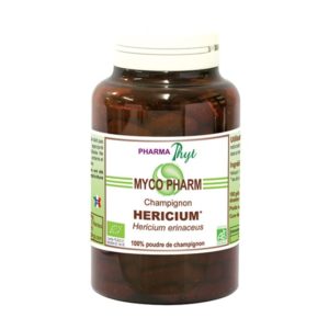 champignons médicinaux naturels en poudre Héricium